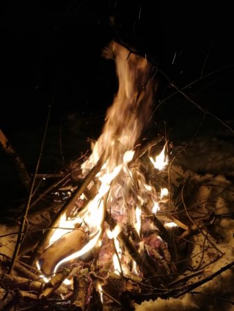 Наш дружный поход в Салтыковкий лес